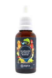 aceitando_animal