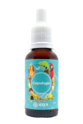 coprofagia