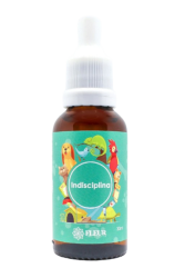 indisciplina